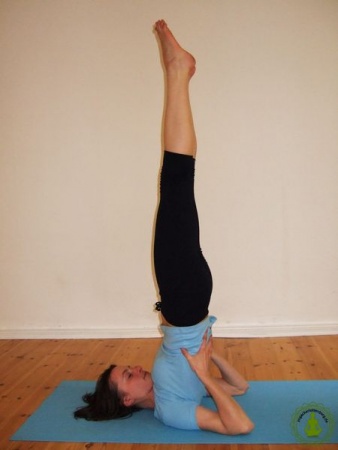 Salamba Sarvangasana